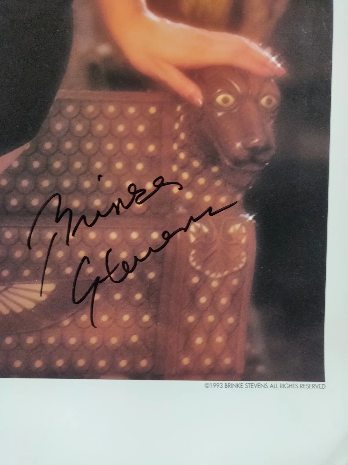 Brinke Stevens — 1993 "Scream Queen" Brinke Stevens - 18" x 24" Poster - SIGNED, изображение 2