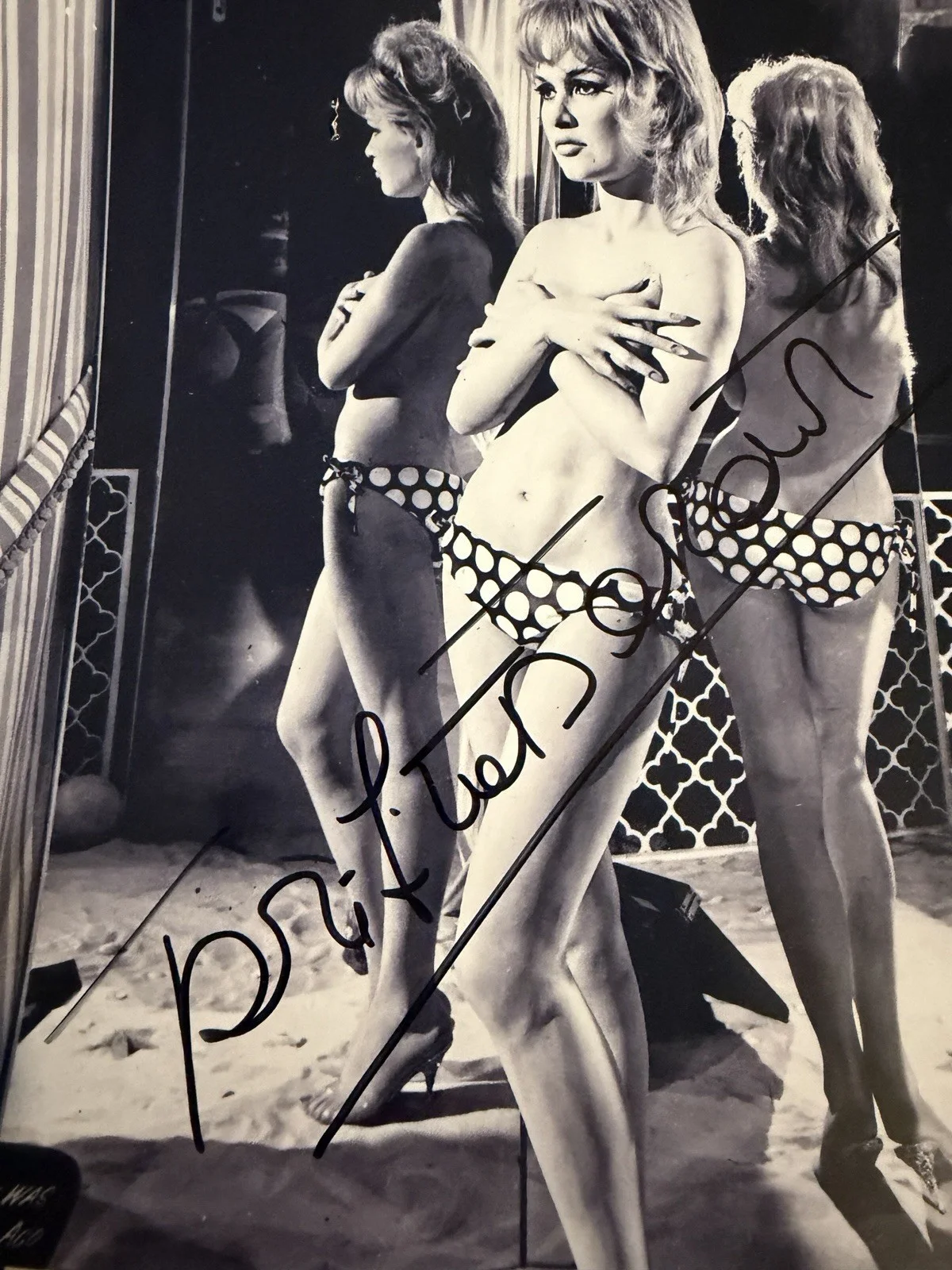Brigitte Bardot — vintage “BRIGITTE BARDOT” SIGNED PHOTO 8x10” autographed photograph AUTHENTIC, изображение 2