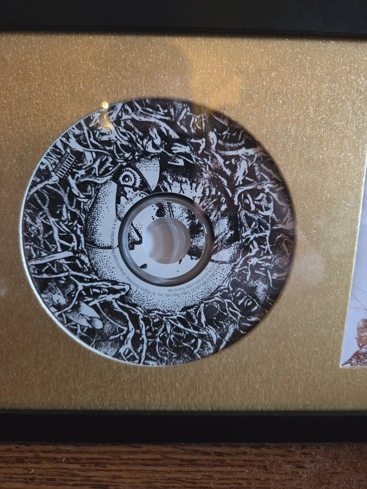 JONATHAN DAVIS — KORN signed JONATHAN DAVIS~MUNKY~FIELDY framed CD & cover JSA coa FREE S/H, image 5