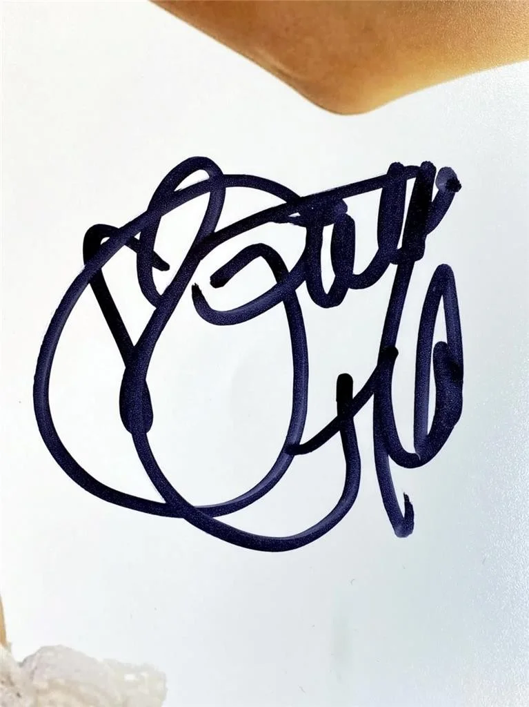 Paris Hilton — Paris Hilton signed 11x14 photo Model autograph ~ Beckett BAS, image 2