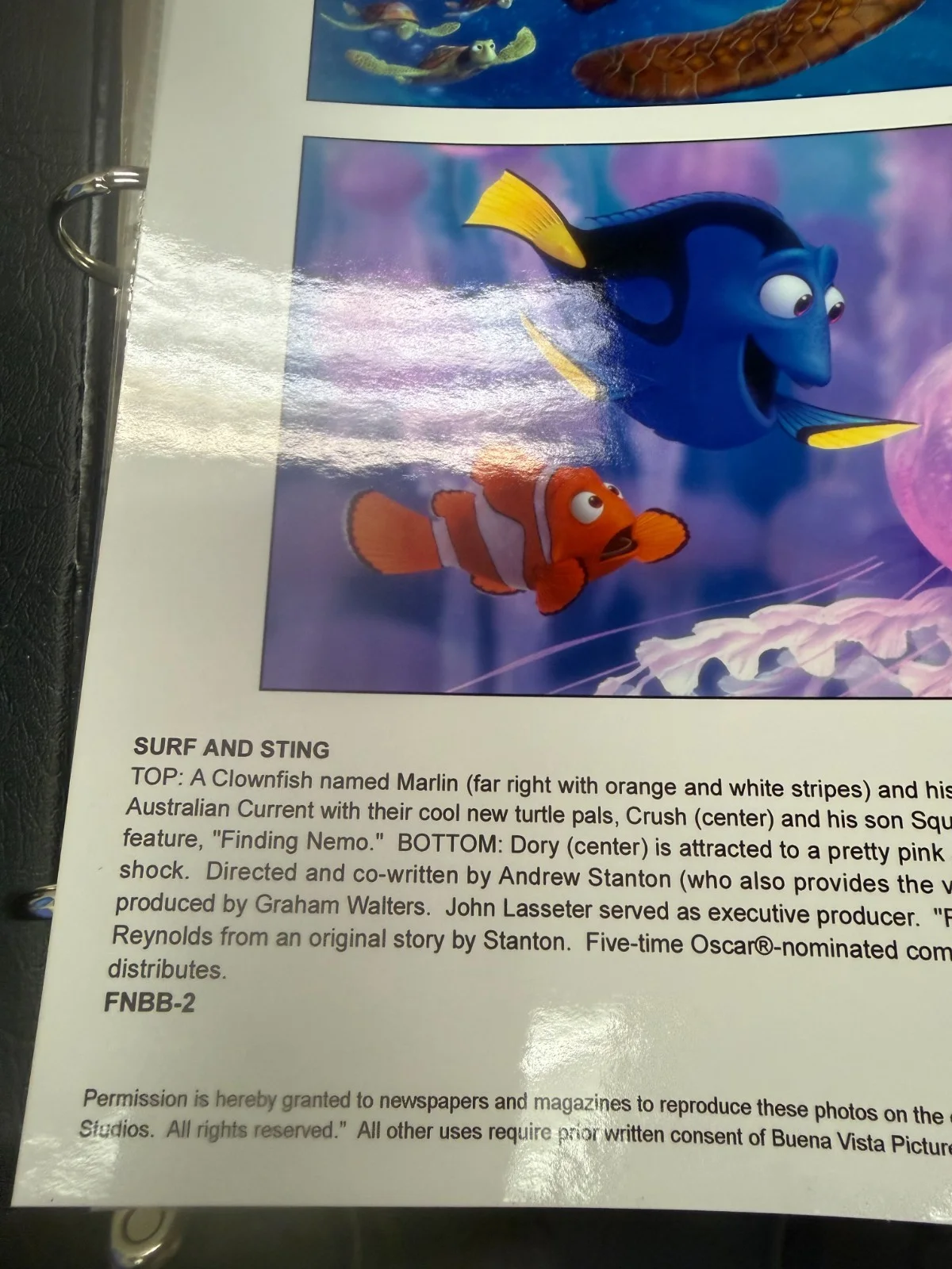 Andrew Stanton / Lee Unkrich — Finding Nemo Signed 8x10 Photo Autographed Disney Andrew Stanton Lee Unkrich, изображение 5