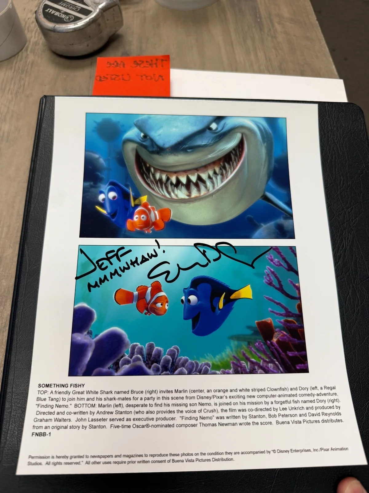 Ellen Degeneres — Ellen Degeneres Finding Nemo Dory Signed 8x10 Photo Autographed Disney READ