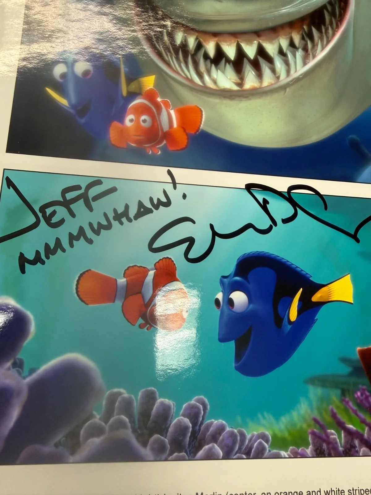 Ellen Degeneres — Ellen Degeneres Finding Nemo Dory Signed 8x10 Photo Autographed Disney READ, image 2