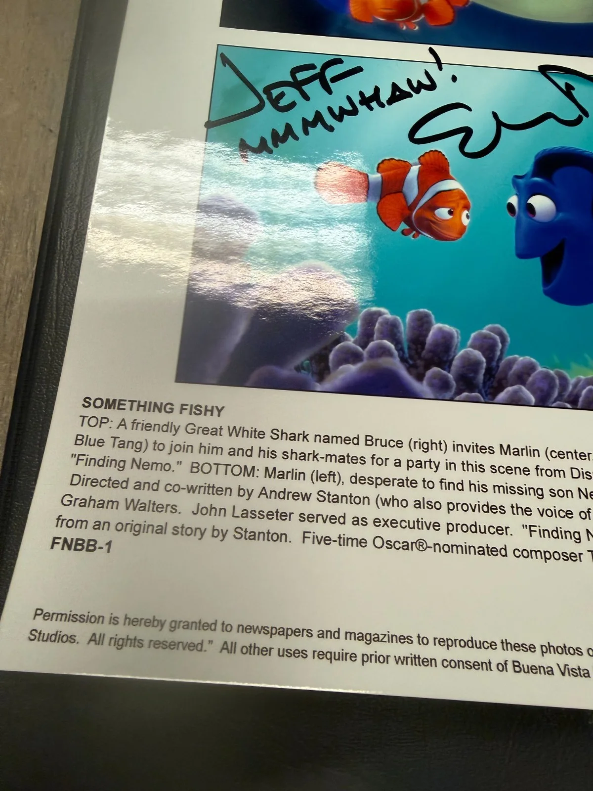 Ellen Degeneres — Ellen Degeneres Finding Nemo Dory Signed 8x10 Photo Autographed Disney READ, image 3