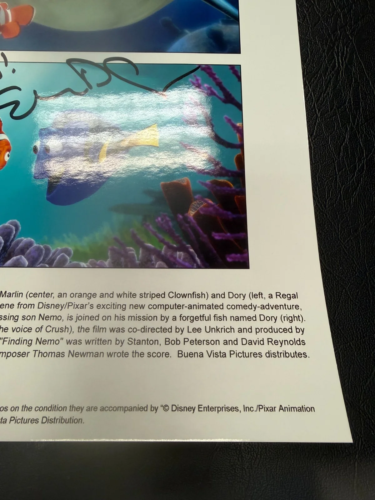 Ellen Degeneres — Ellen Degeneres Finding Nemo Dory Signed 8x10 Photo Autographed Disney READ, image 4