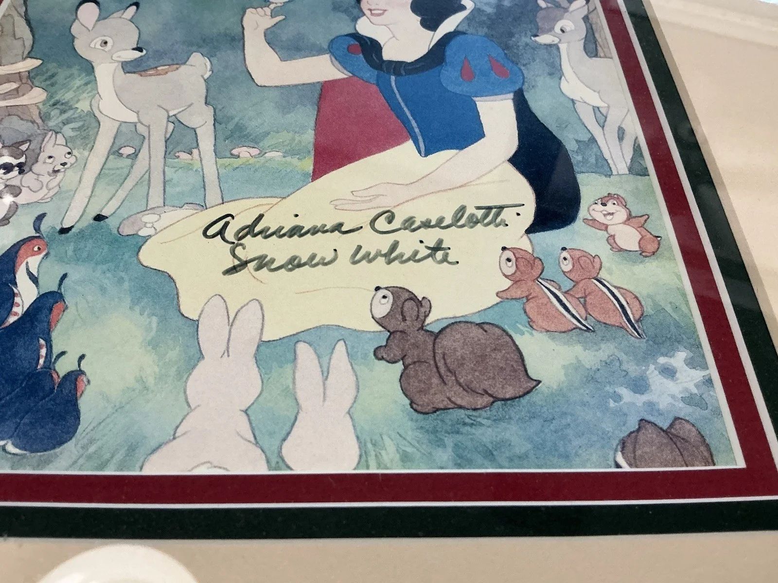 Adriana Caselotti — Disney Voice Of Snow White Adriana Caselotti Framed Autograph Picture, изображение 3