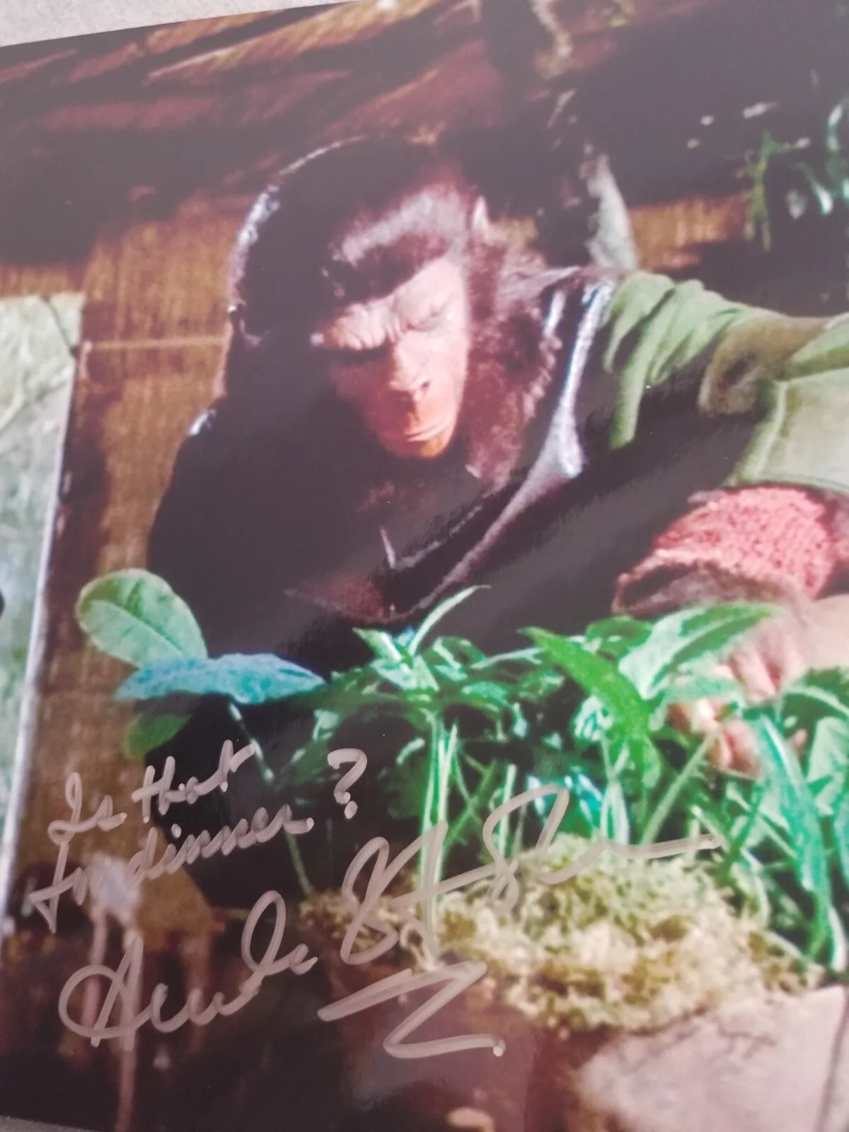 Austin Stoker — AUSTIN STOKER Signed & Inscribed PLANET OF THE APES Movie 8x10 Photo w/ COA CERT, изображение 3