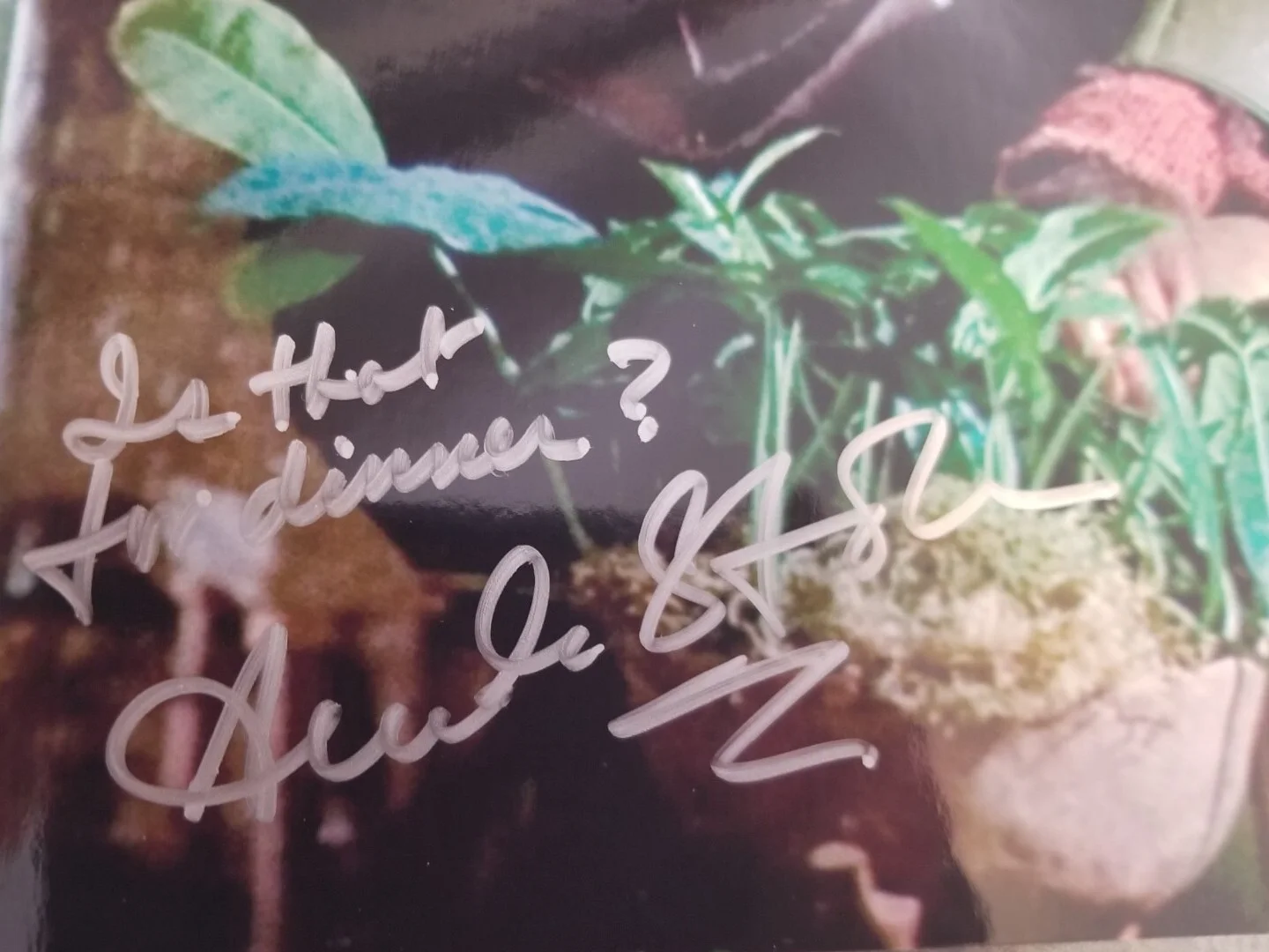 Austin Stoker — AUSTIN STOKER Signed & Inscribed PLANET OF THE APES Movie 8x10 Photo w/ COA CERT, изображение 4
