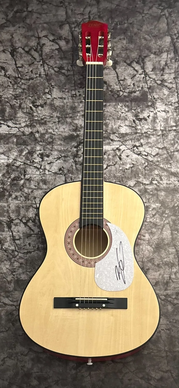 GFA Bottoms Up Country Star * BRANTLEY GILBERT * Signed Acoustic Guitar COA, image 2