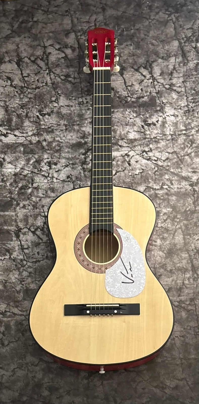 GFA Hell is a Dance Floor Star * VINCENT MASON * Signed Acoustic Guitar COA, image 2