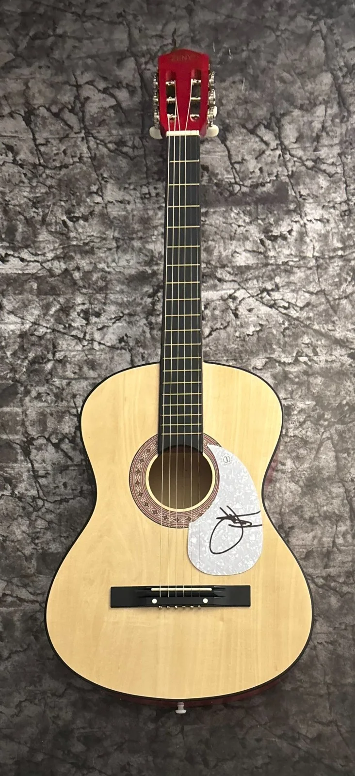 GFA Guitars, Cadillacs Star * DWIGHT YOAKAM * Signed Acoustic Guitar PROOF COA, изображение 4
