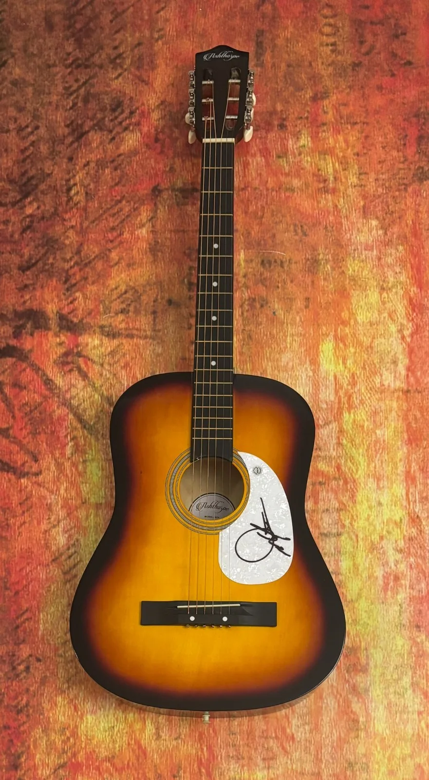 GFA Guitars, Cadillacs Star * DWIGHT YOAKAM * Signed Acoustic Guitar PROOF COA, изображение 5