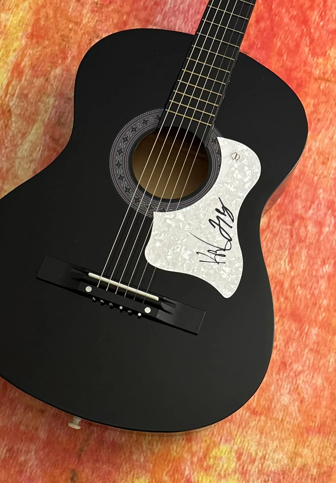 GFA Kenneth & Joey Duo * THE MILK CARTON KIDS * Signed Acoustic Guitar COA, изображение 3