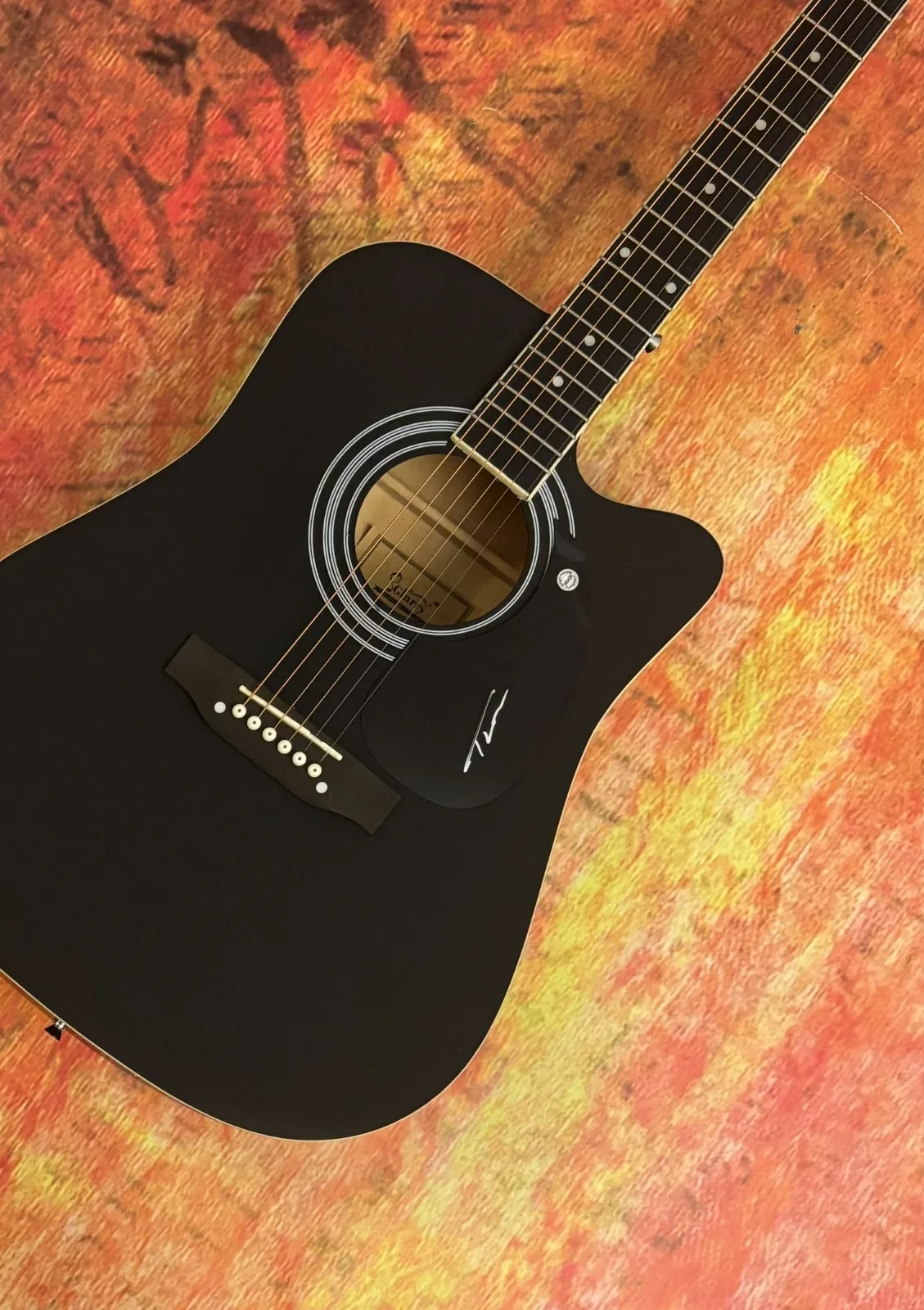 GFA Wind Up Misson' You * TUCKER WETMORE * Signed 41" Acoustic Guitar COA, изображение 3
