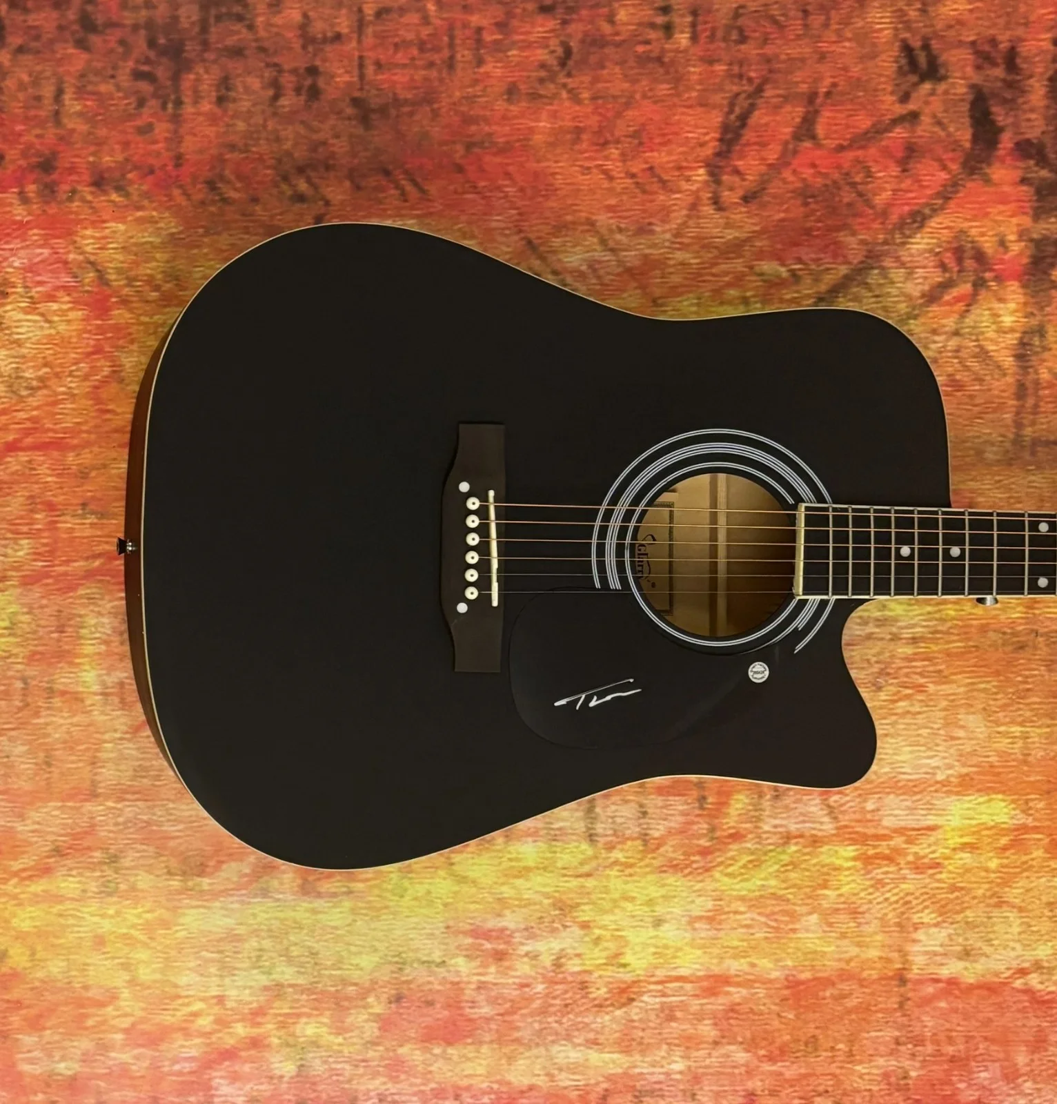 GFA Wind Up Misson' You * TUCKER WETMORE * Signed 41" Acoustic Guitar COA, изображение 4