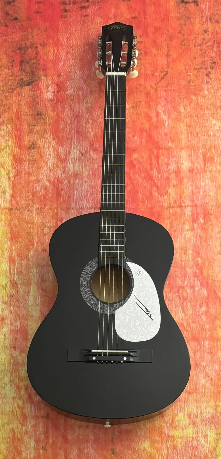 GFA Wind Up Misson' You * TUCKER WETMORE * Signed Acoustic Guitar COA, image 2