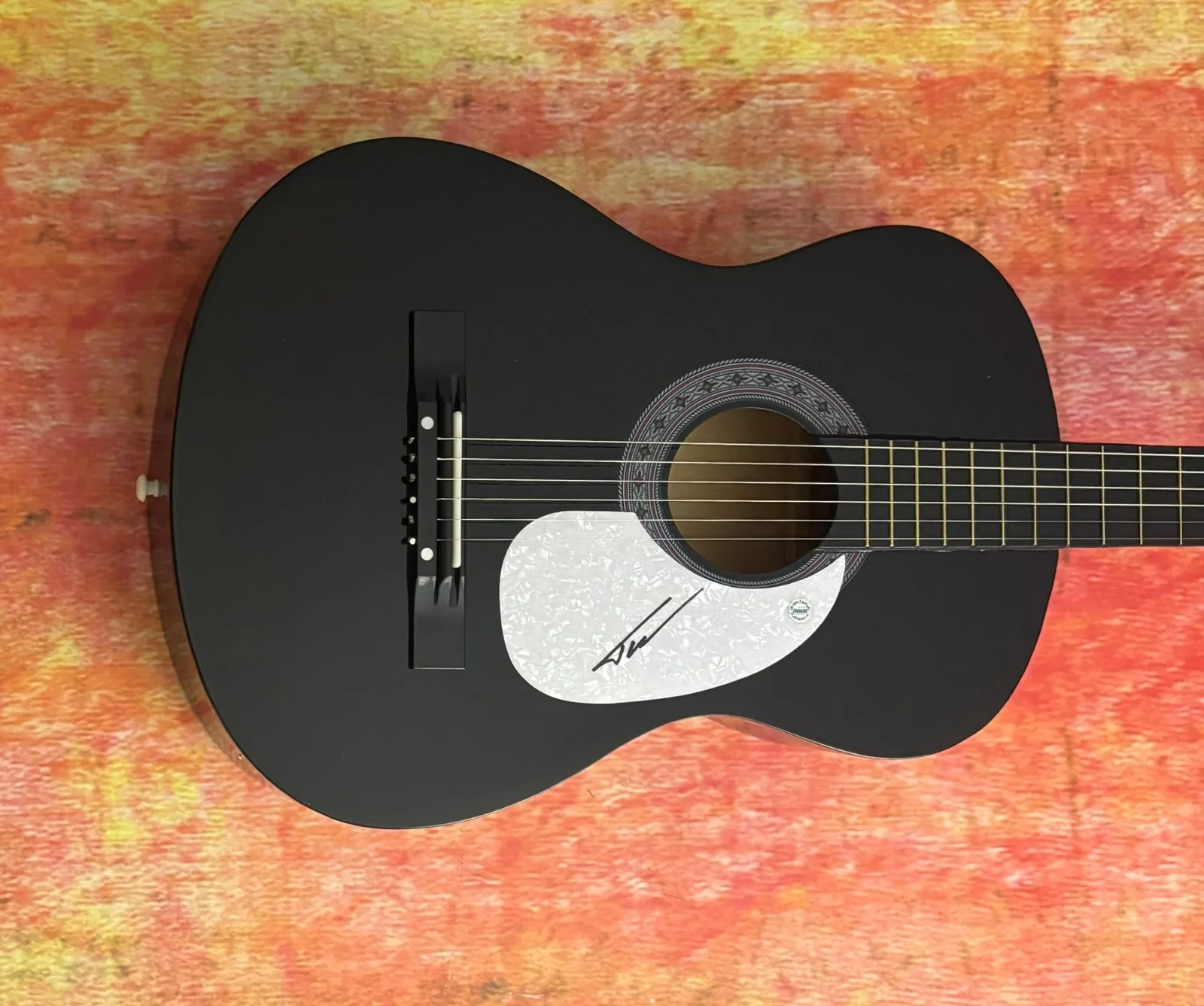 GFA Wind Up Misson' You * TUCKER WETMORE * Signed Acoustic Guitar COA, image 4