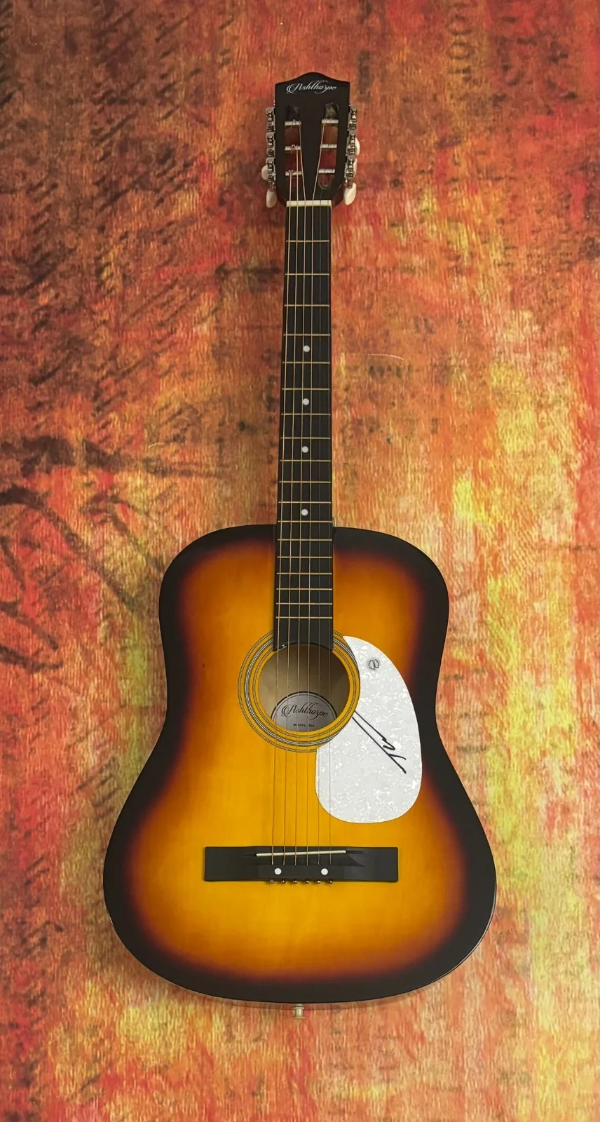 GFA Wind Up Misson' You * TUCKER WETMORE * Signed Acoustic Guitar COA, image 2