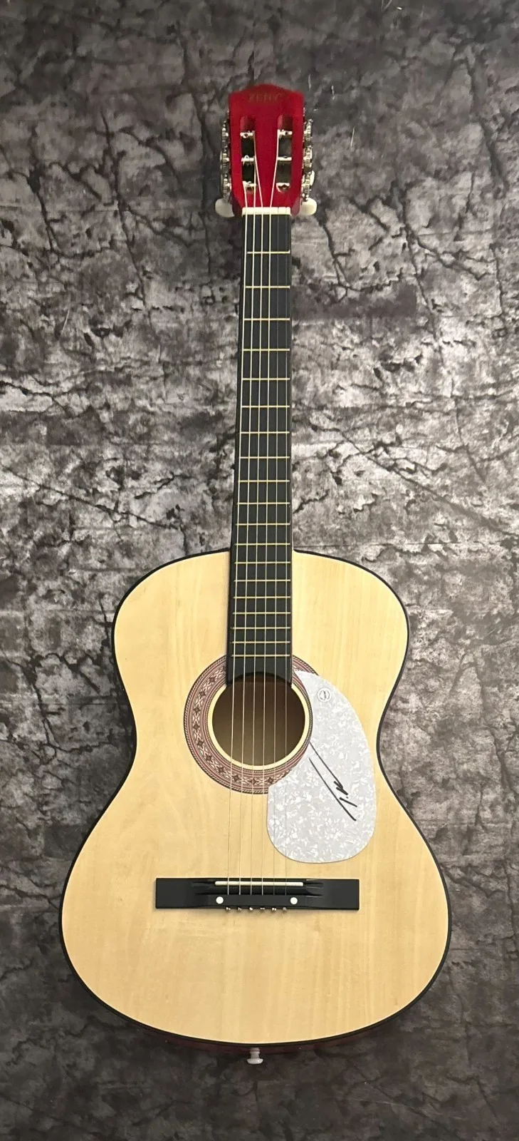GFA Wind Up Misson' You * TUCKER WETMORE * Signed Acoustic Guitar COA, image 2
