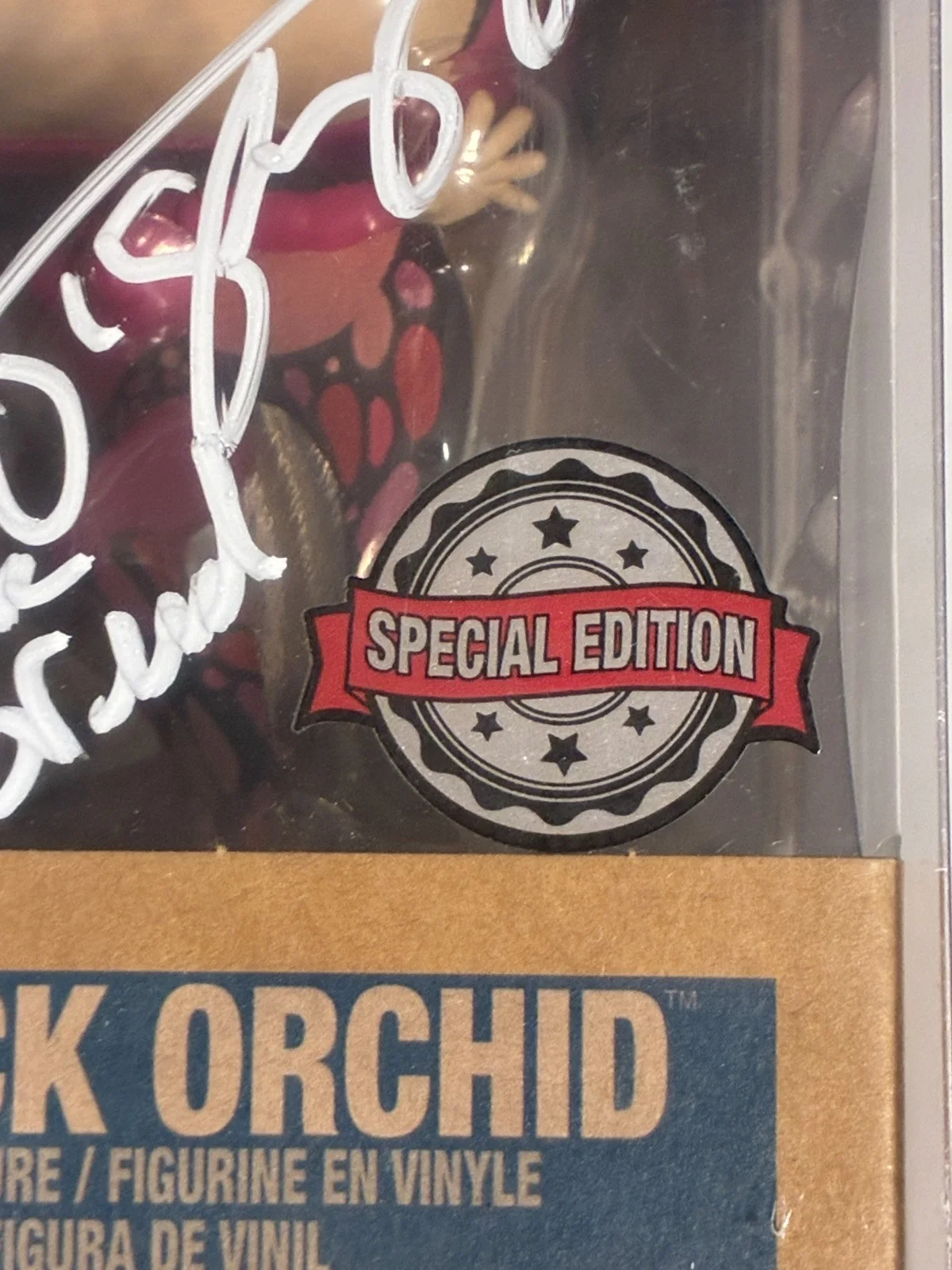 Colleen O'Shaughnessy Autographed Funko Pop Justice League #435 Black Orchid, изображение 3