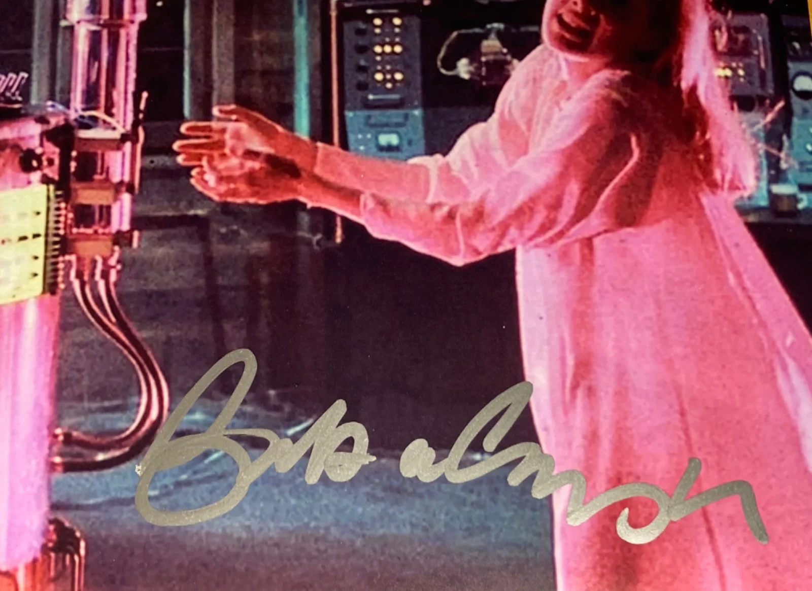Hand SIGNED Barbara Crampton 10x8 Photo Re-Animator - Lovecraft Based CULT Film, image 3