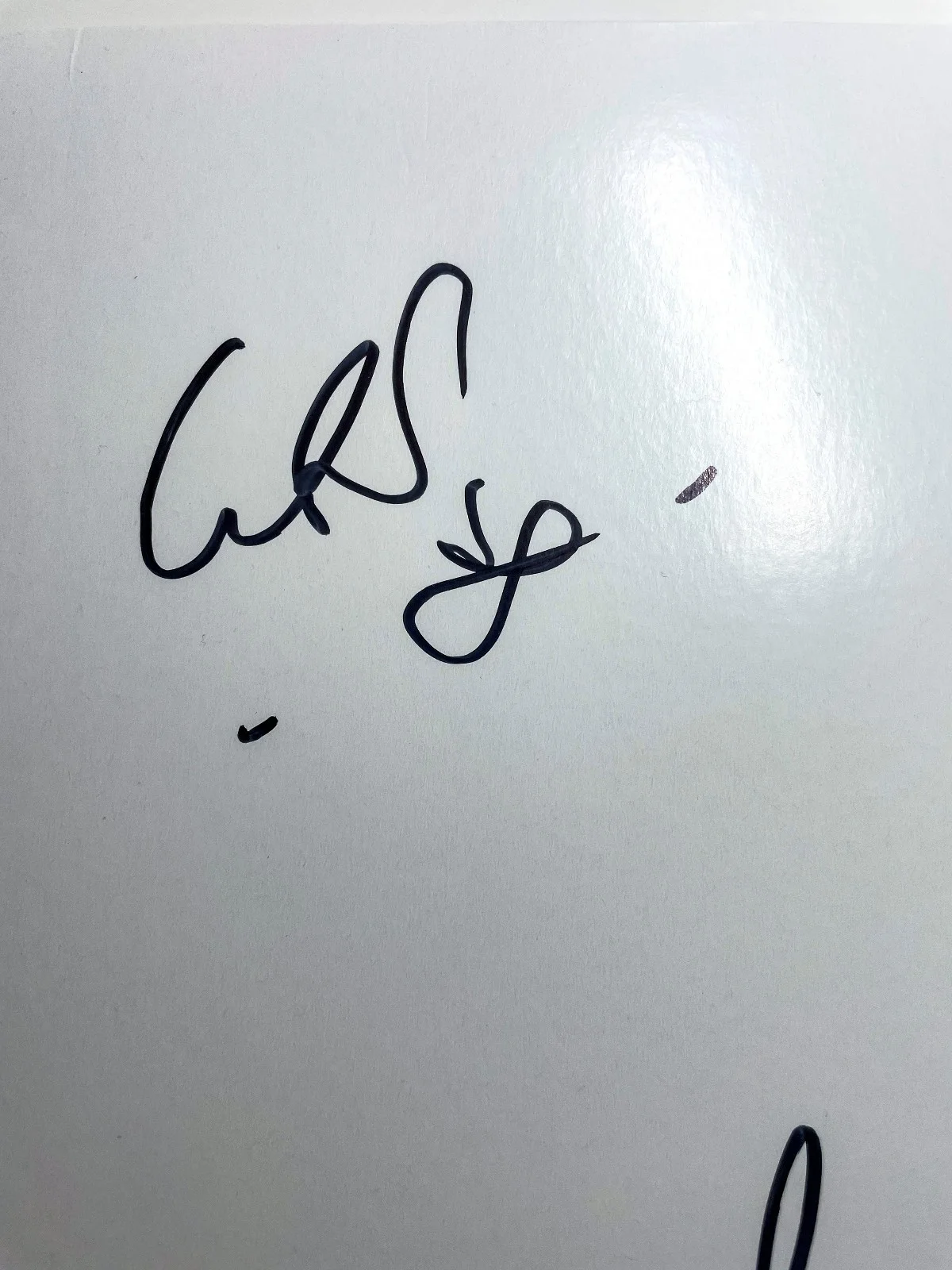 Roland Orzabal Curt Smith Signed Tears for Fears THE HURTING Vinyl Album ACOA, изображение 3