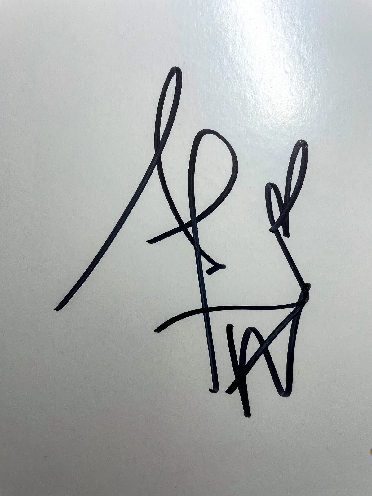 Roland Orzabal Curt Smith Signed Tears for Fears THE HURTING Vinyl Album ACOA, изображение 5