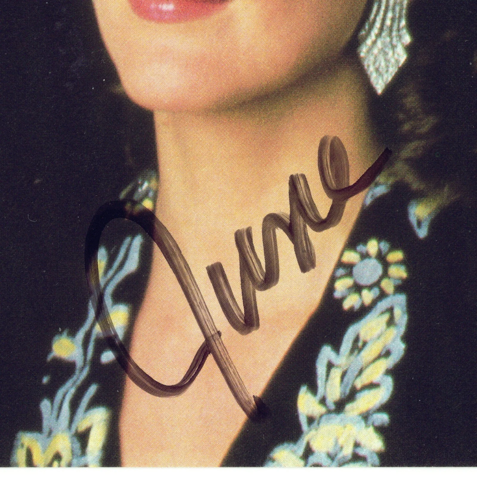 Forester Sisters all 4 Signed Autographs 8x10 Color Promo Photo VTG, изображение 5