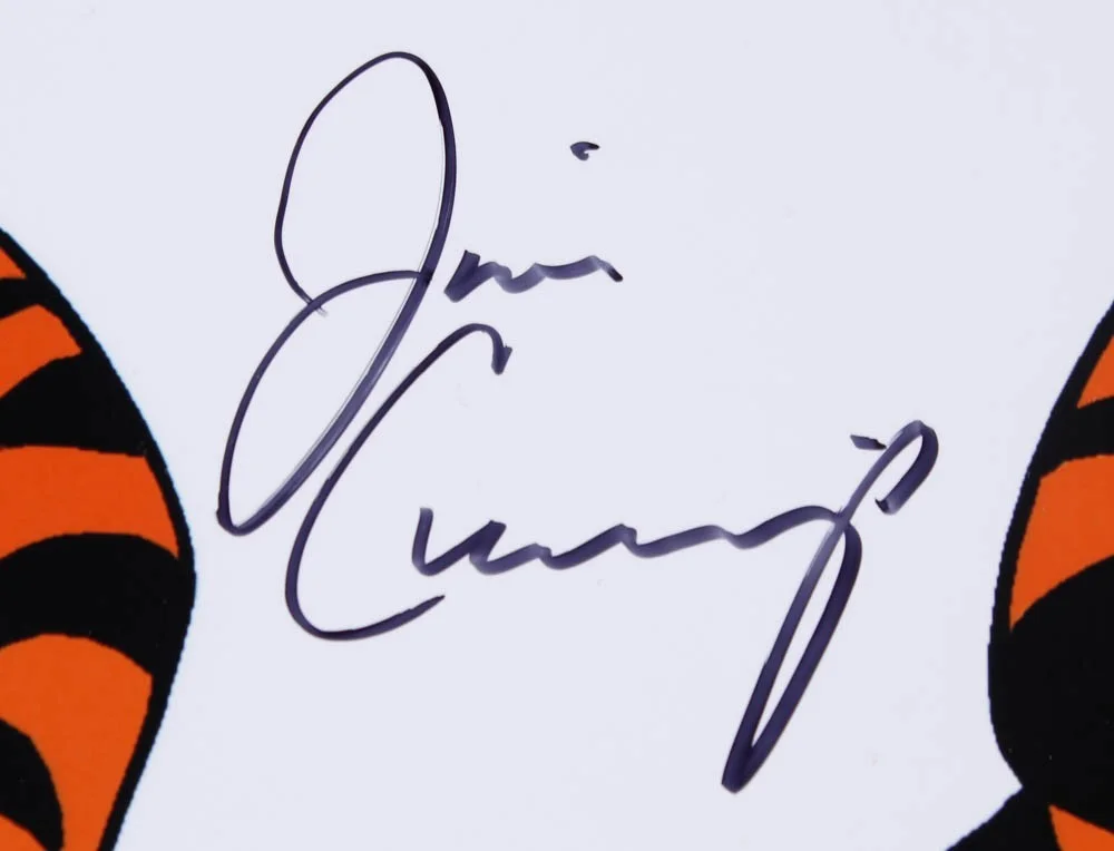 JIM CUMMINGS — JIM CUMMINGS Signed Autographed Winnie the Pooh Tigger 11x14 Photo with COA 90s, image 2