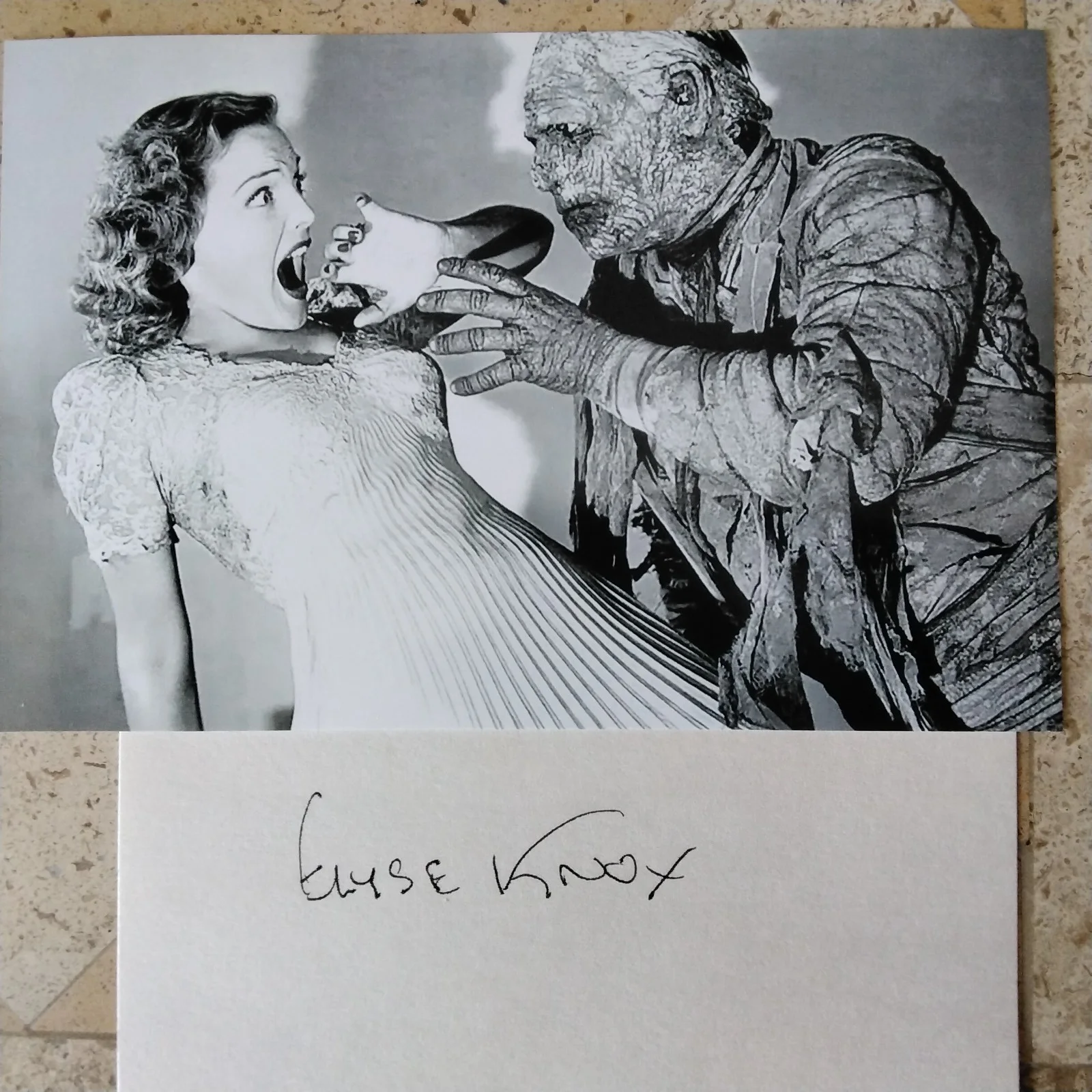 Elyse Knox — Elyse Knox SIGNED Card Photo 40s B Movie Actress Mummy's Tomb Joe Palooka Films, изображение 2