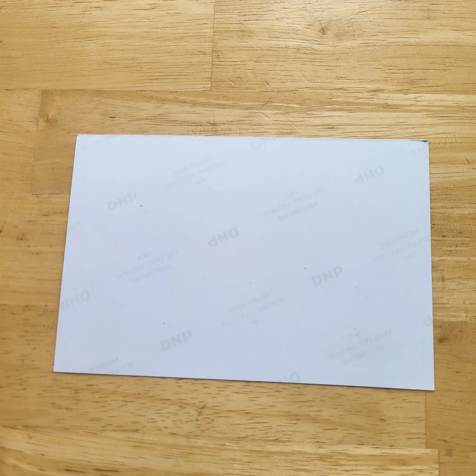 Colton James — Colton James Jurassic Park The Lost World Hand Signed 4x6 Autograph, изображение 4