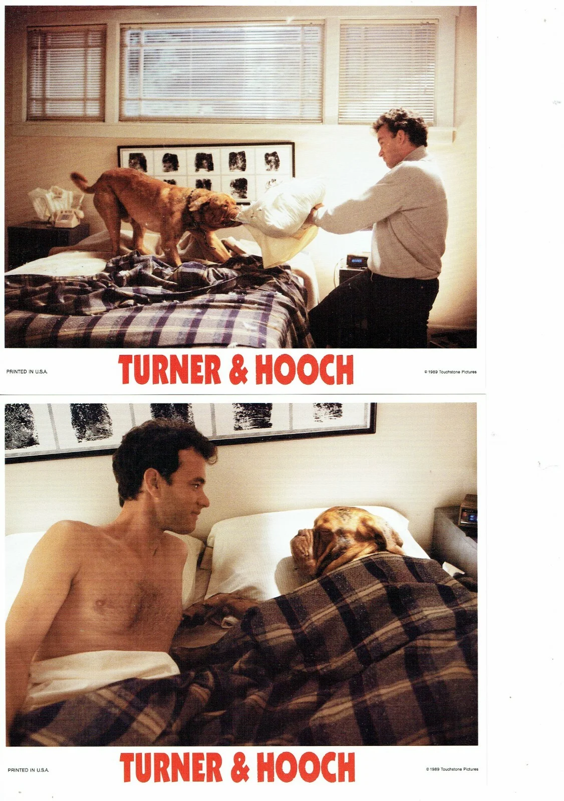 Turner & Hooch ORIGINAL FOH Lobby Cards Set of 8 inc Goofy & Wilbur Card, изображение 3