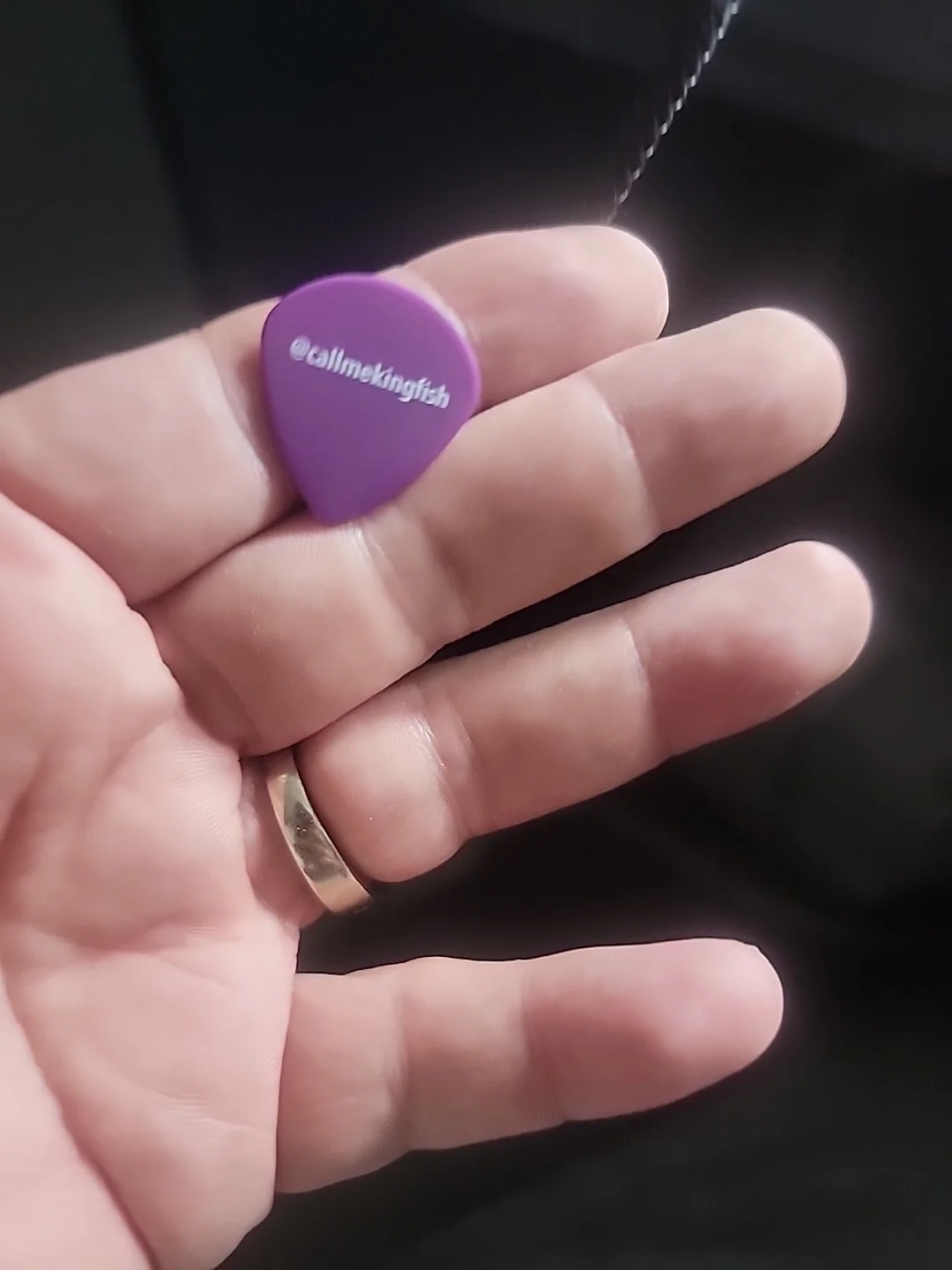 Kingfish Guitar Pick, изображение 5