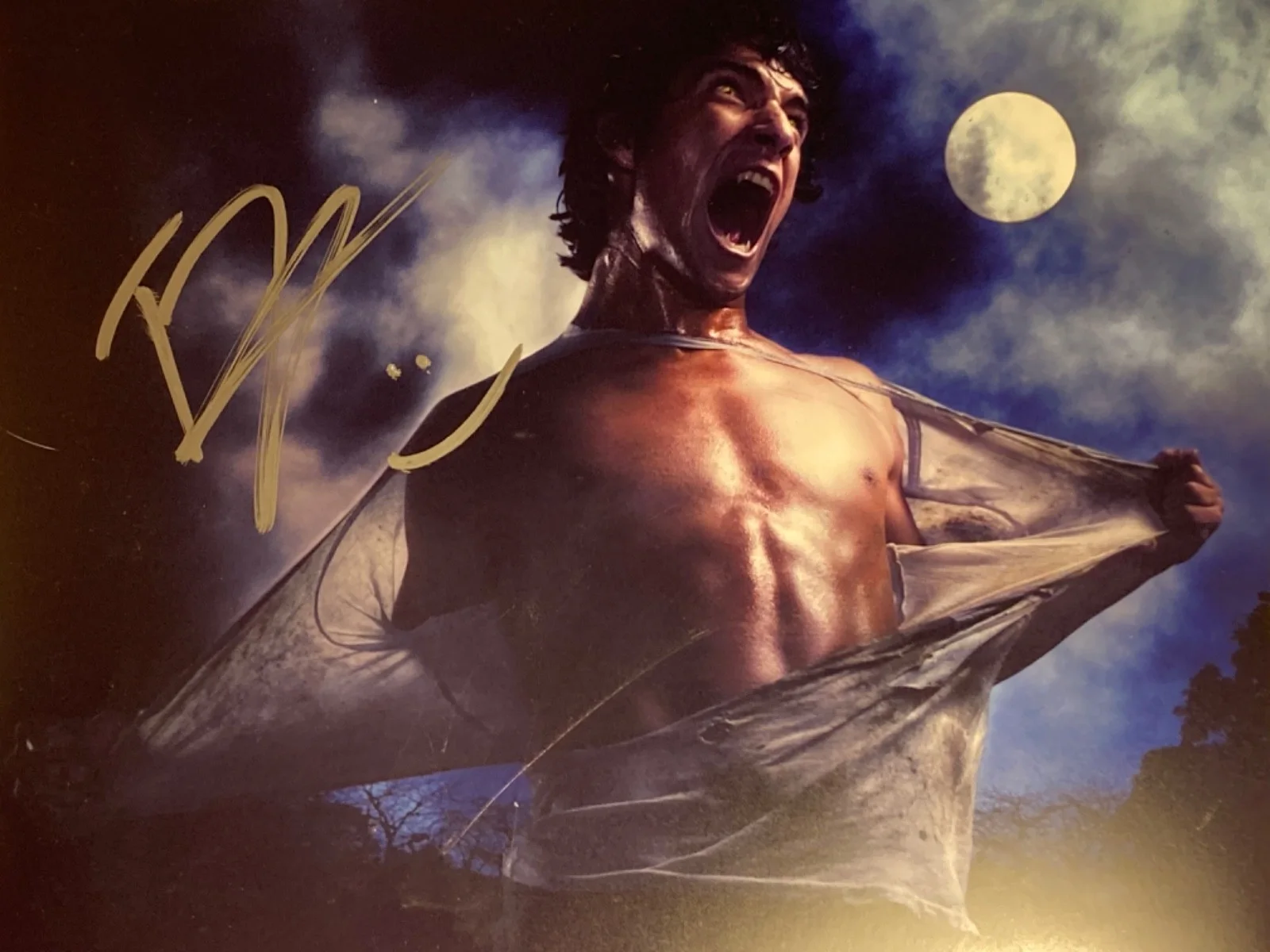 Tyler Posey — Hand SIGNED Tyler Posey 10x8 Photo - Scott McCall - Teen Wolf MTV