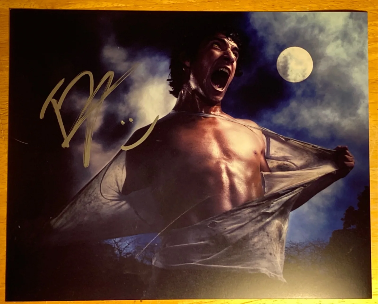 Tyler Posey — Hand SIGNED Tyler Posey 10x8 Photo - Scott McCall - Teen Wolf MTV, изображение 2