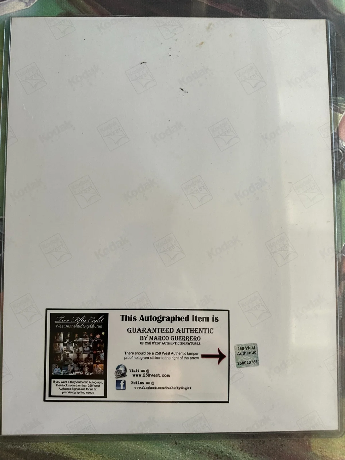 Lucy Lawless — Lucy Lawless Signed Xena Warrior Princess 11x14 Photo – 258 West COA, изображение 4