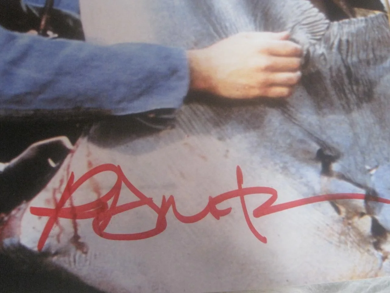 RICHARD DREYFUSS — RICHARD DREYFUS SIGNED AUTOGRAPH 8X10 PHOTO +COA JAWS MOVIE SHARK MATT HOPPER #2, изображение 2