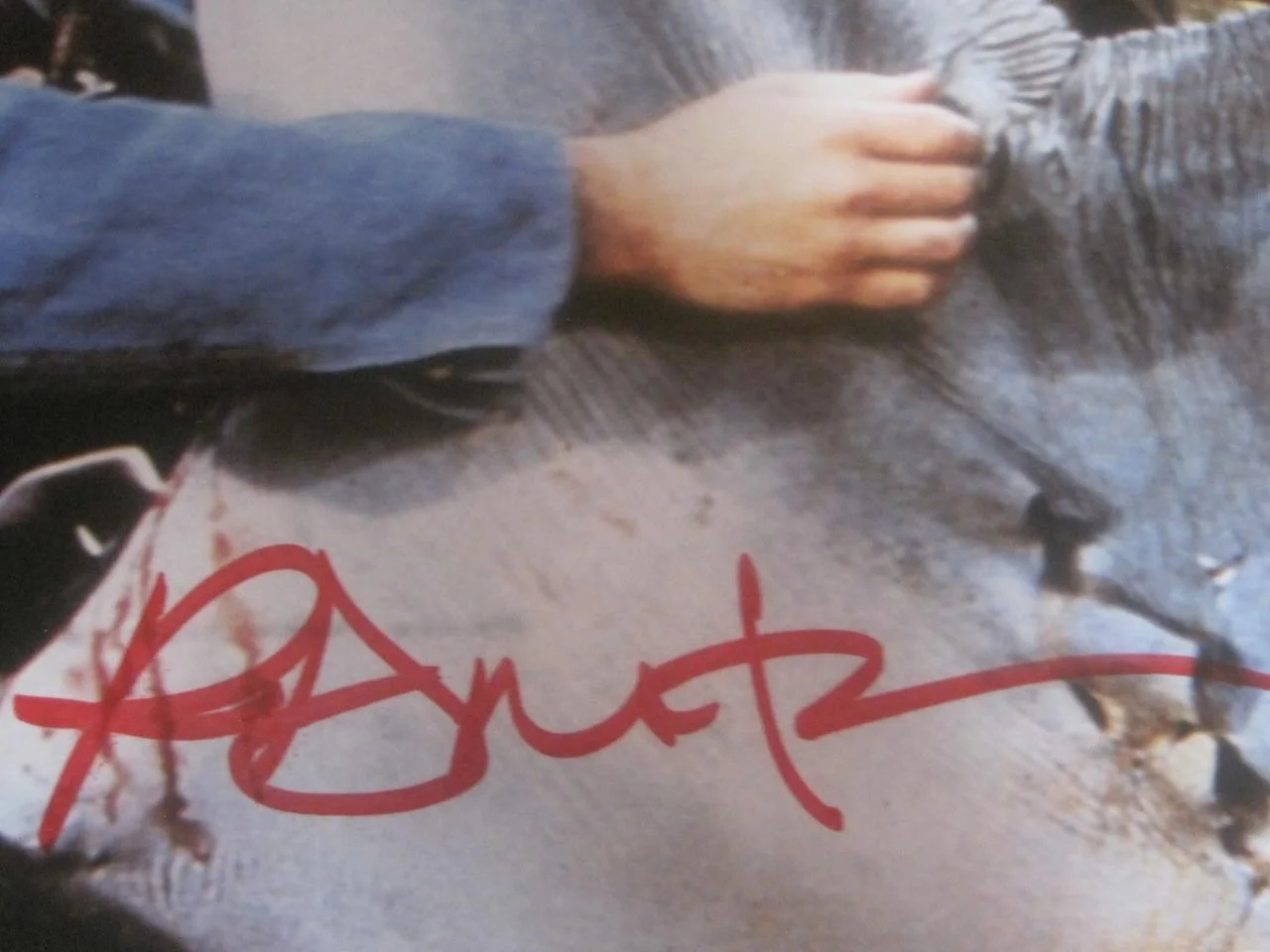 RICHARD DREYFUSS — RICHARD DREYFUS SIGNED AUTOGRAPH 8X10 PHOTO +COA JAWS MOVIE SHARK MATT HOPPER #2, изображение 5