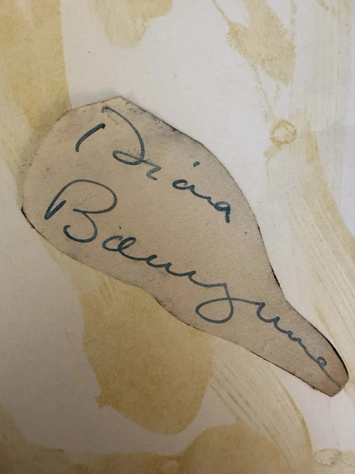 Diana Barrymore — Diana Barrymore Cut Autograph & Vintage Photo Tragic Actress Drew Barrymore Aunt, изображение 4