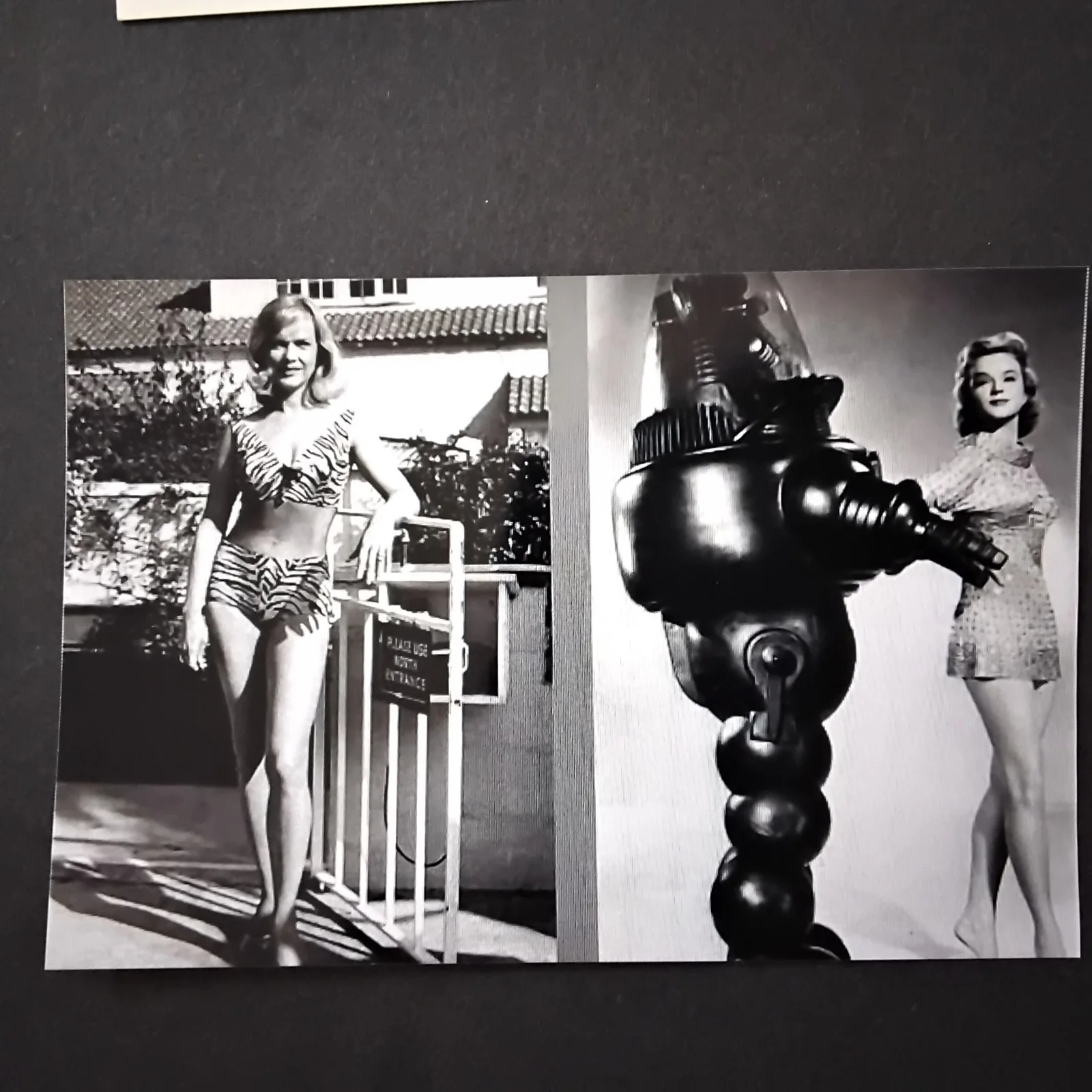 Anne Francis SIGNED Card Movie TV Actress Honey West Forbidden Planet Funny Girl, изображение 5