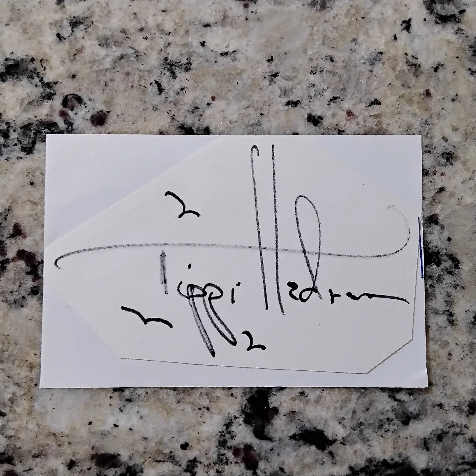 Tippi Hedren SIGNED Card Photo 60s Movie Actress The Birds Marnie Hitchcock, изображение 3