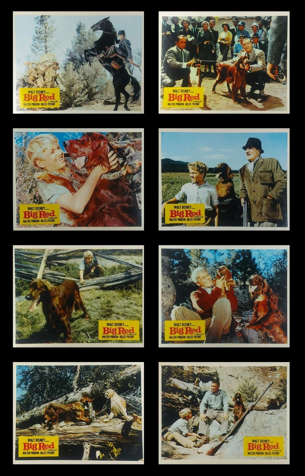 BIG RED ORIGINAL UK FOH LOBBY CARDS SET 1962, image 2