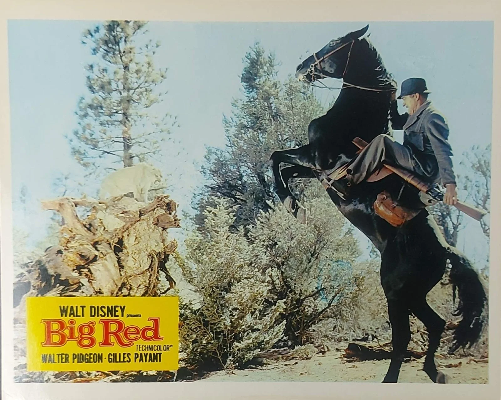 BIG RED ORIGINAL UK FOH LOBBY CARDS SET 1962, image 3