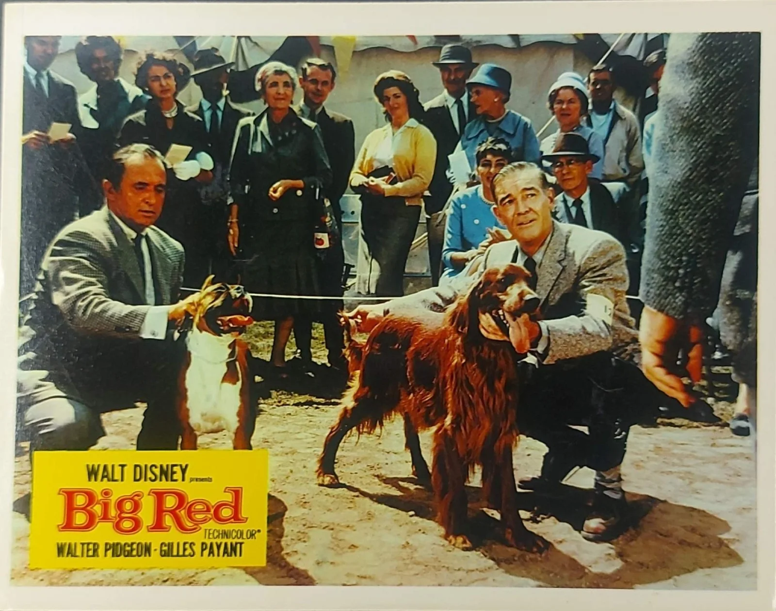 BIG RED ORIGINAL UK FOH LOBBY CARDS SET 1962, image 4