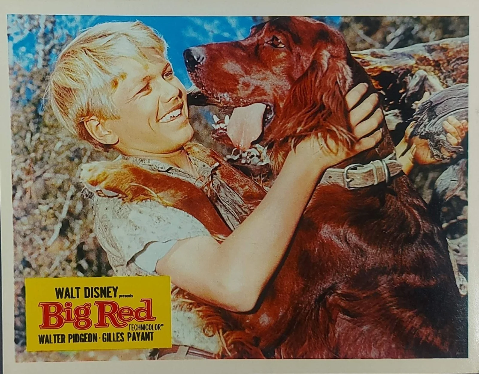 BIG RED ORIGINAL UK FOH LOBBY CARDS SET 1962, image 5