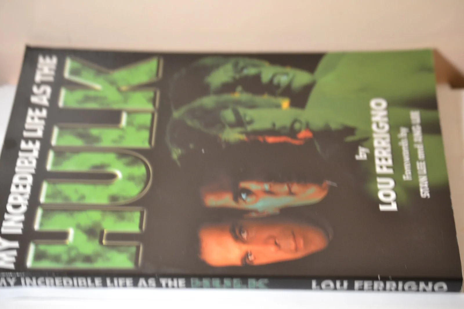 2003 MY INCREDIBLE LIFE AS THE HULK Lou Ferrigno -Inscribed & SIGNED / Softcover, image 4