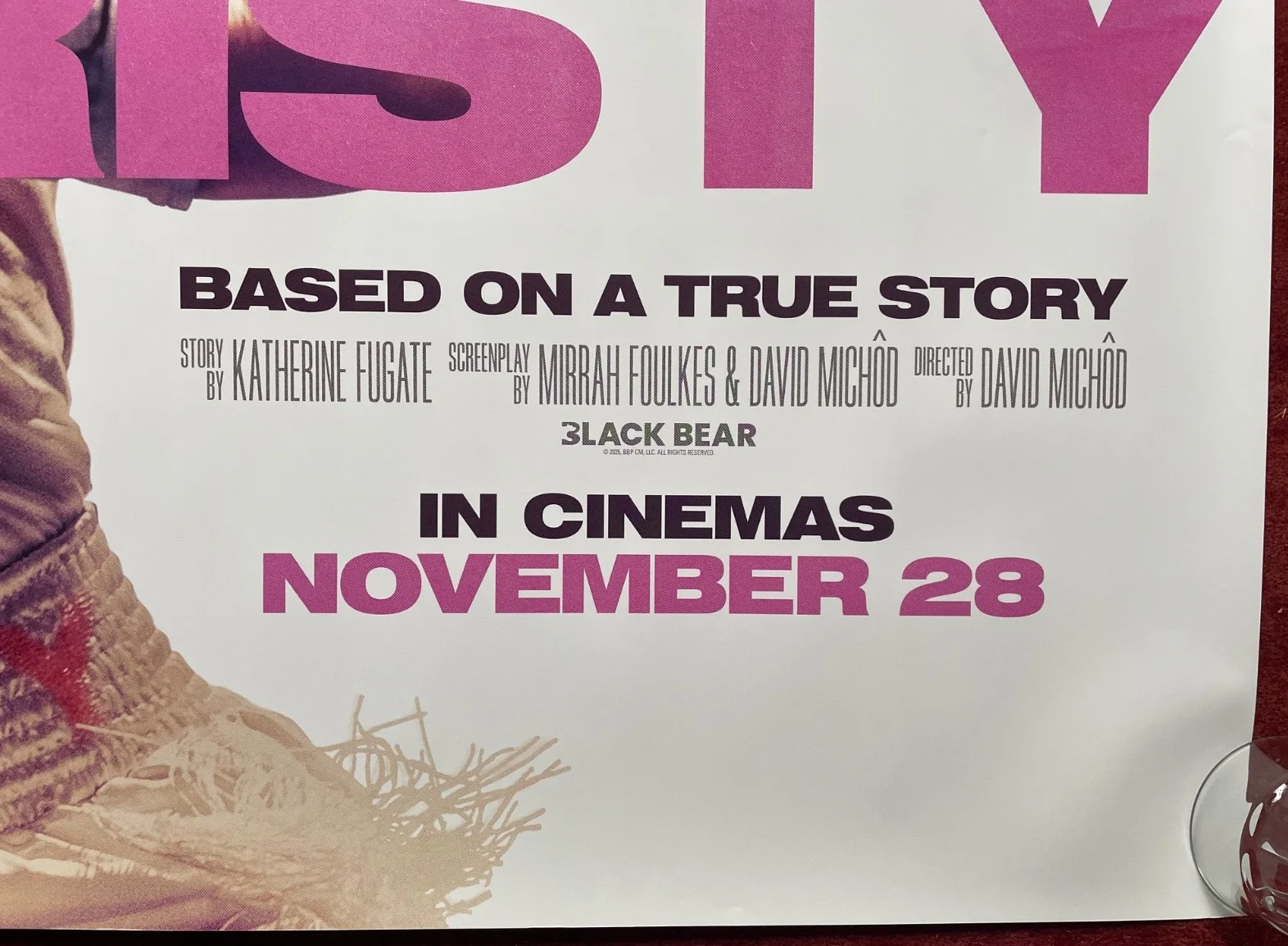 CHRISTY (2025) Original Quad Movie Poster Sydney Sweeney, изображение 5