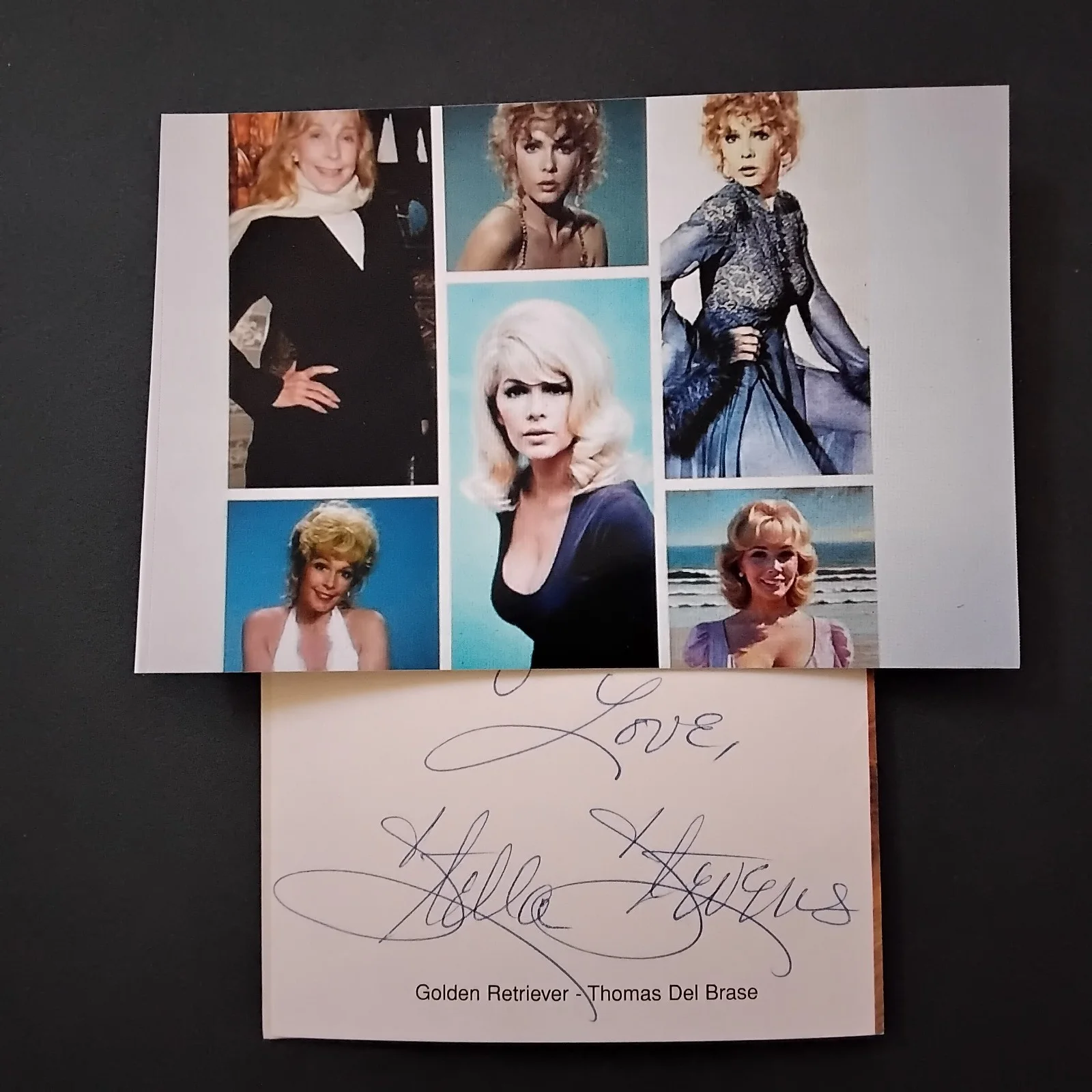 Stella Stevens SIGNED Card Photo Film Actress Poseidon Adventure Nutty Professor, image 2