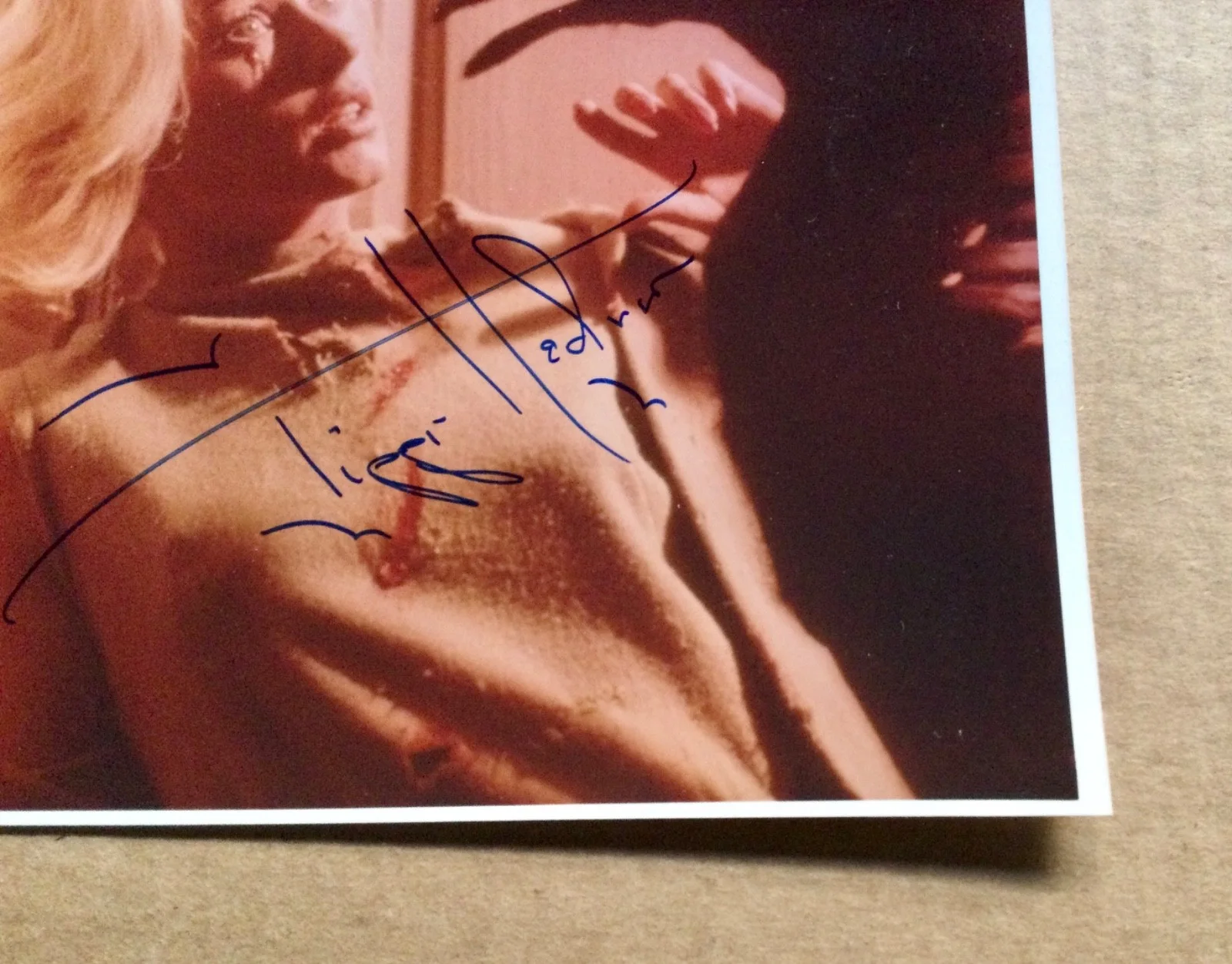 Tippi Hedren — Great signed 8x10 color photo signed autographed by Tippi Hedren from The Birds., изображение 3