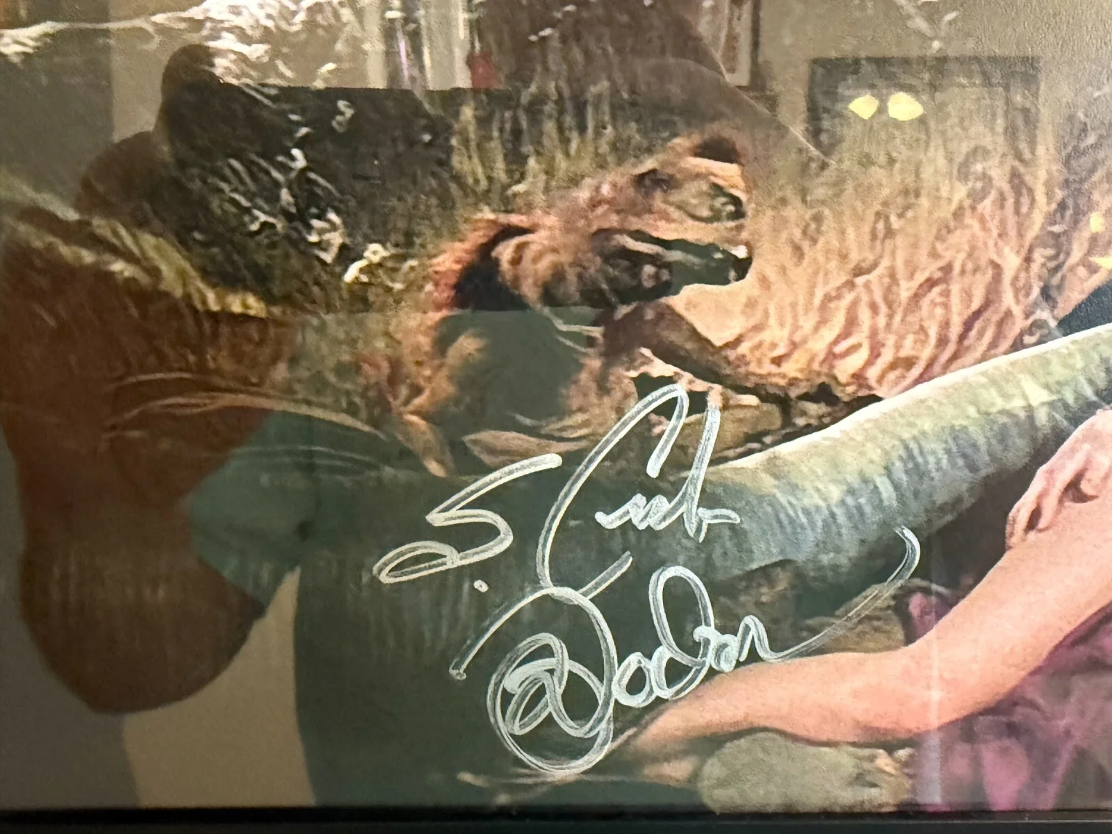Mark Dodson — STAR WARS Mark DODSON signed 11X16 FRAMED PHOTO Voice Salacious Crumb Auto, image 2